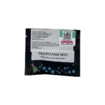 Tropicana WFC Feminizada – Sweed Lab - Imagen 7
