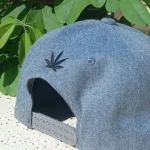 Gorra Snapback - Festival - Imagen 2