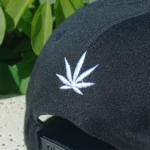 Gorra Snapback - Festival - Imagen 6