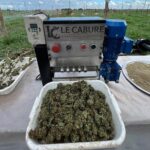 Servicio de Cosecha - Le Cabure - Imagen 2