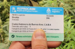 Impresión de Credencial Plástica REPROCANN – Tarjeta PVC - Imagen 6