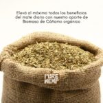 Yerba Mate orgánica con Cáñamo - Pure Hemp - Imagen 4