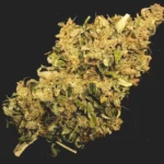 Dr West Feminizado – Arkham Genetics (Esqueje CBD) - Imagen 4