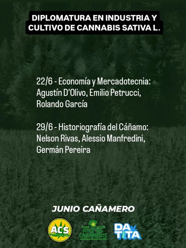 juniocanamero3