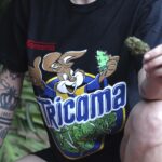Remeras Cannabicas - Tricoma Clothes